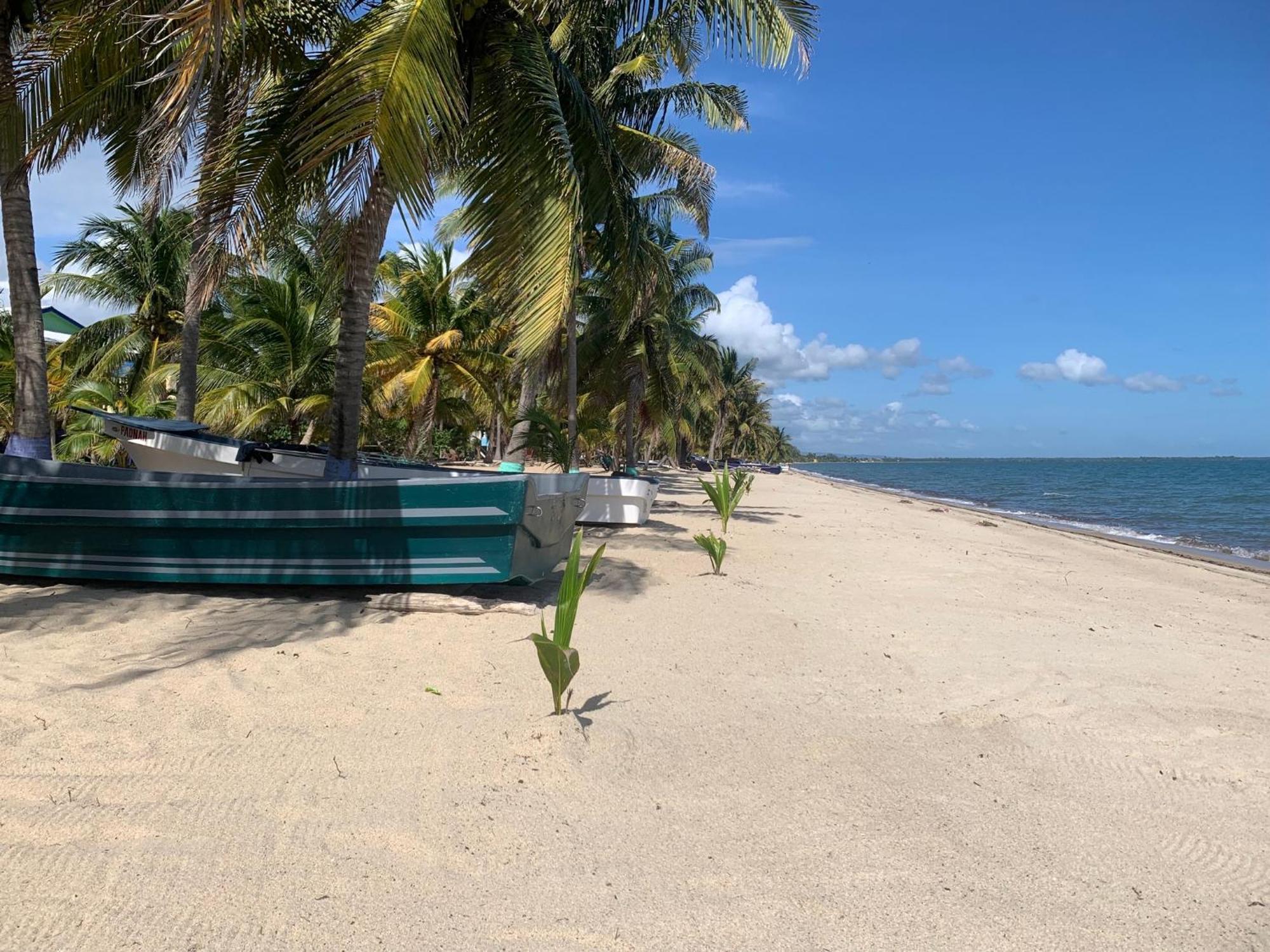 Seasons Belize Guest house *