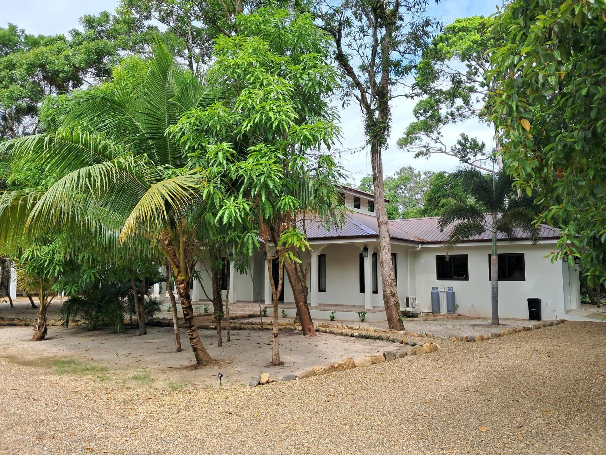 Ceiba *