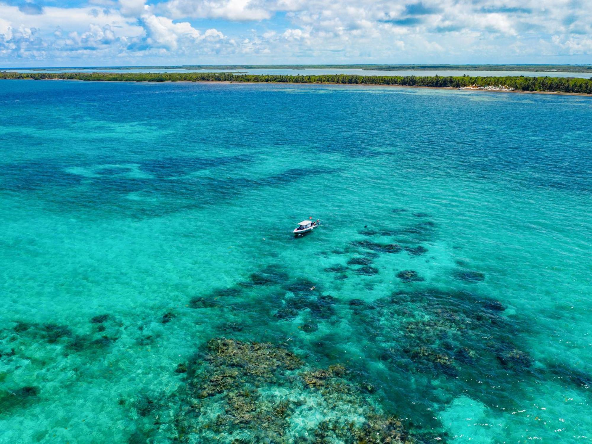 Orchid Bay Corozal