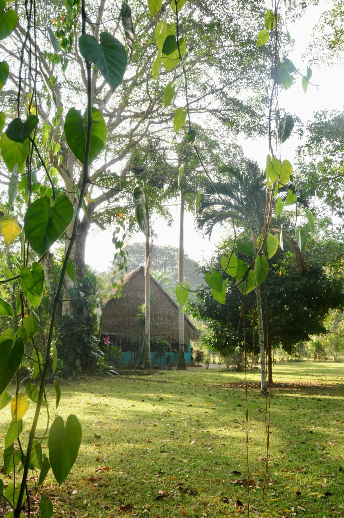 Resort Bocawina Rainforest