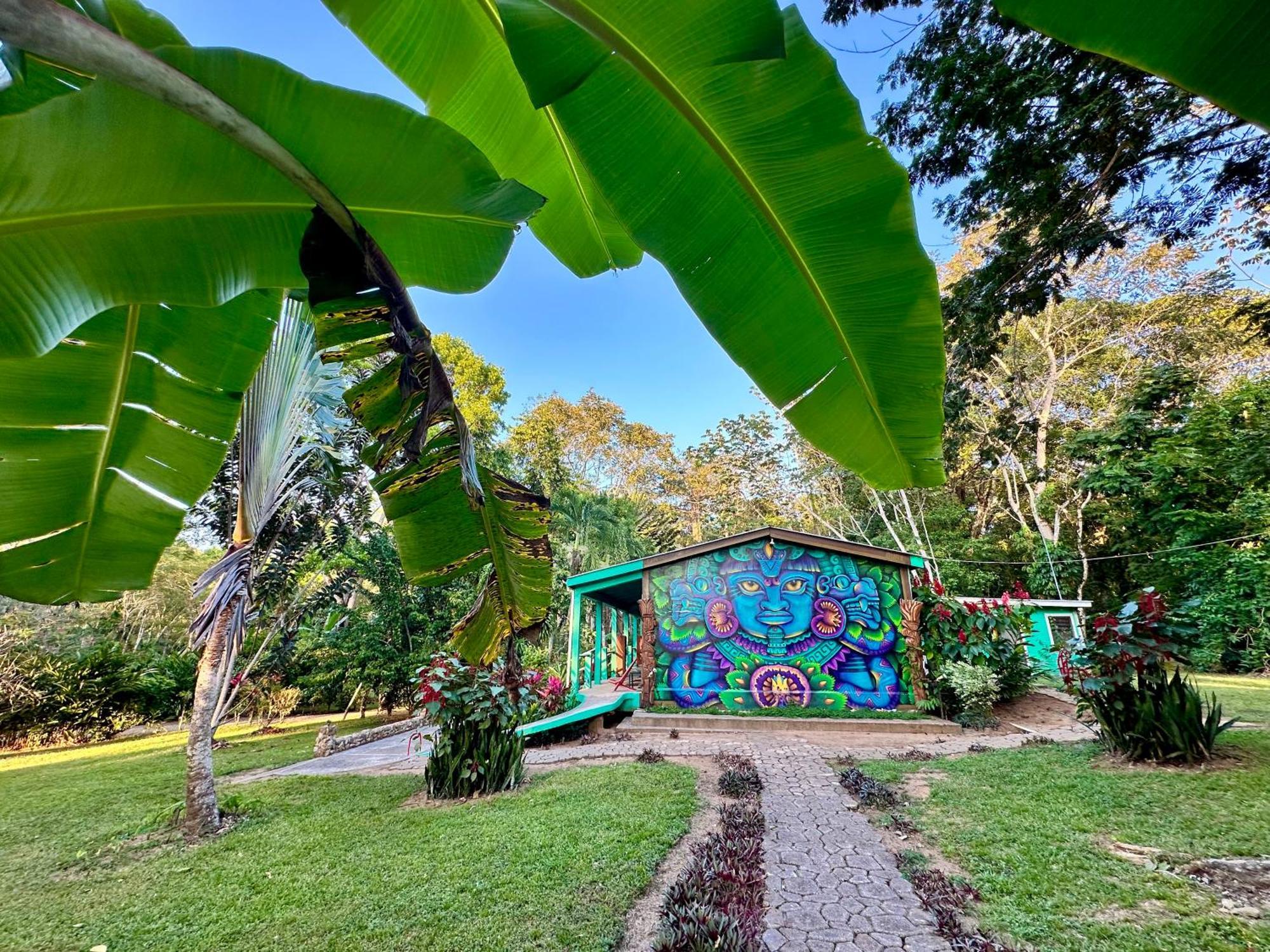 Resort Bocawina Rainforest Hopkins