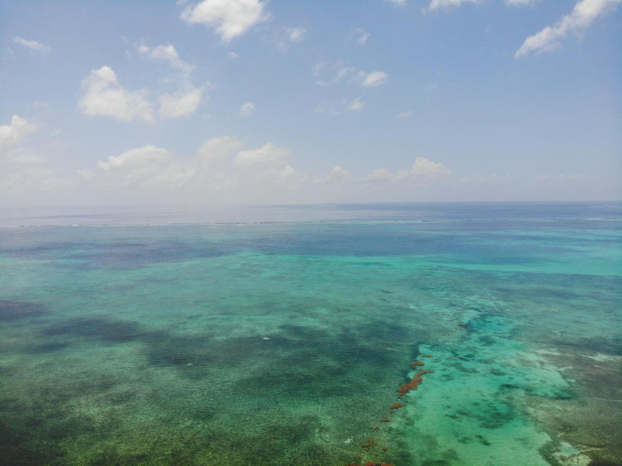 Resort Royal Caribbean San Pedro (Ambergris Caye)