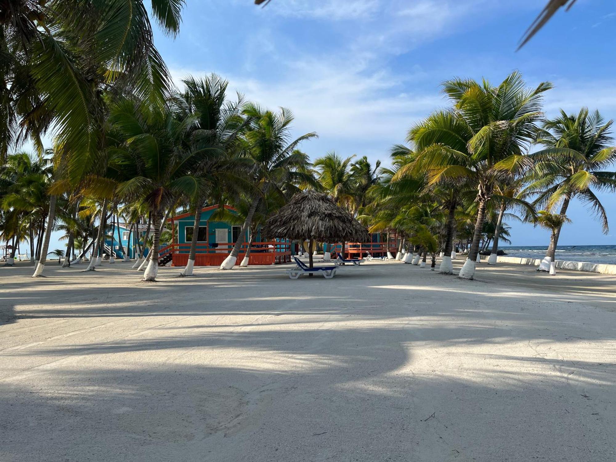 Blue Marlin Resort