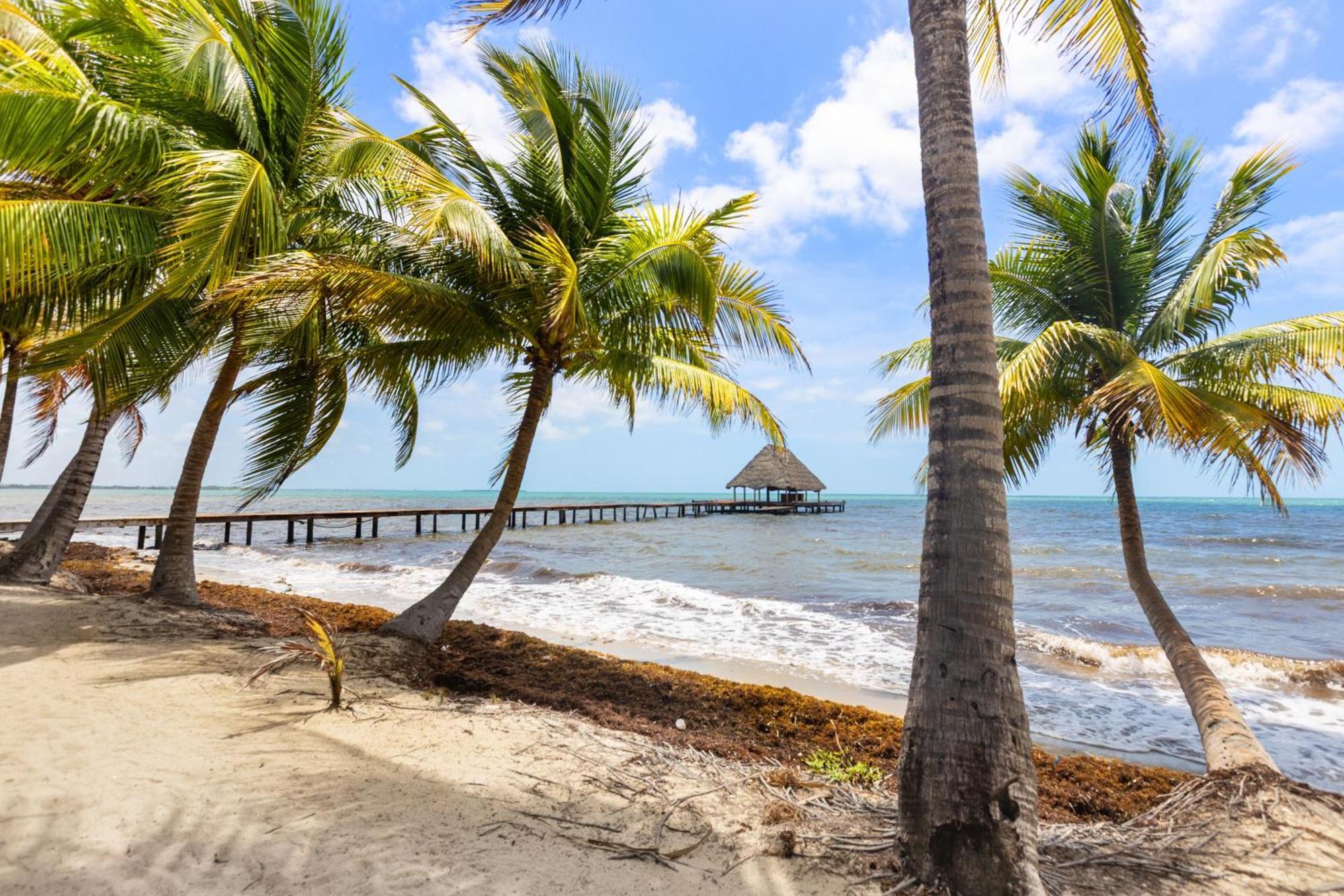 Beachside Gold Standard Certified * Placencia