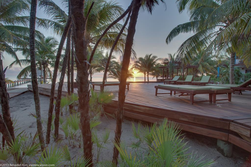 Robert's Grove Placencia