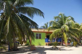 Coconut Row 3*