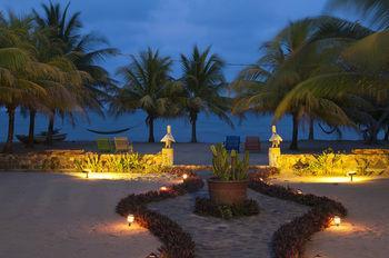 Coconut Row 3*