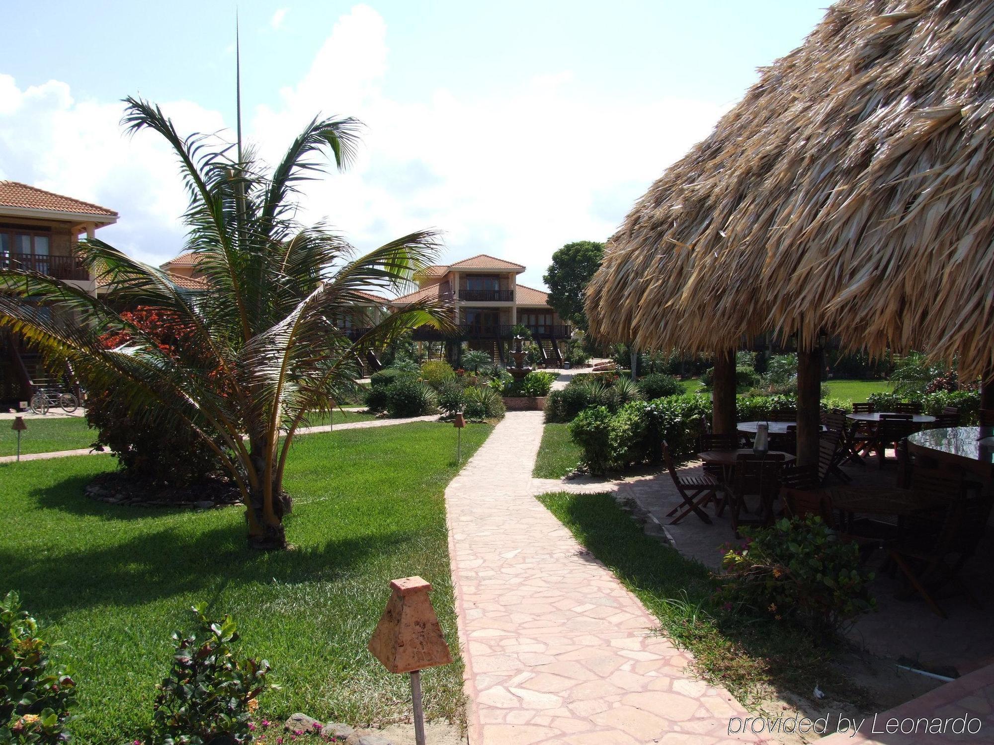 Belizean Dreams Hopkins