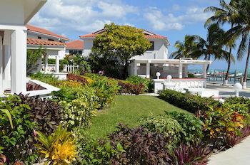 Ambergris House *