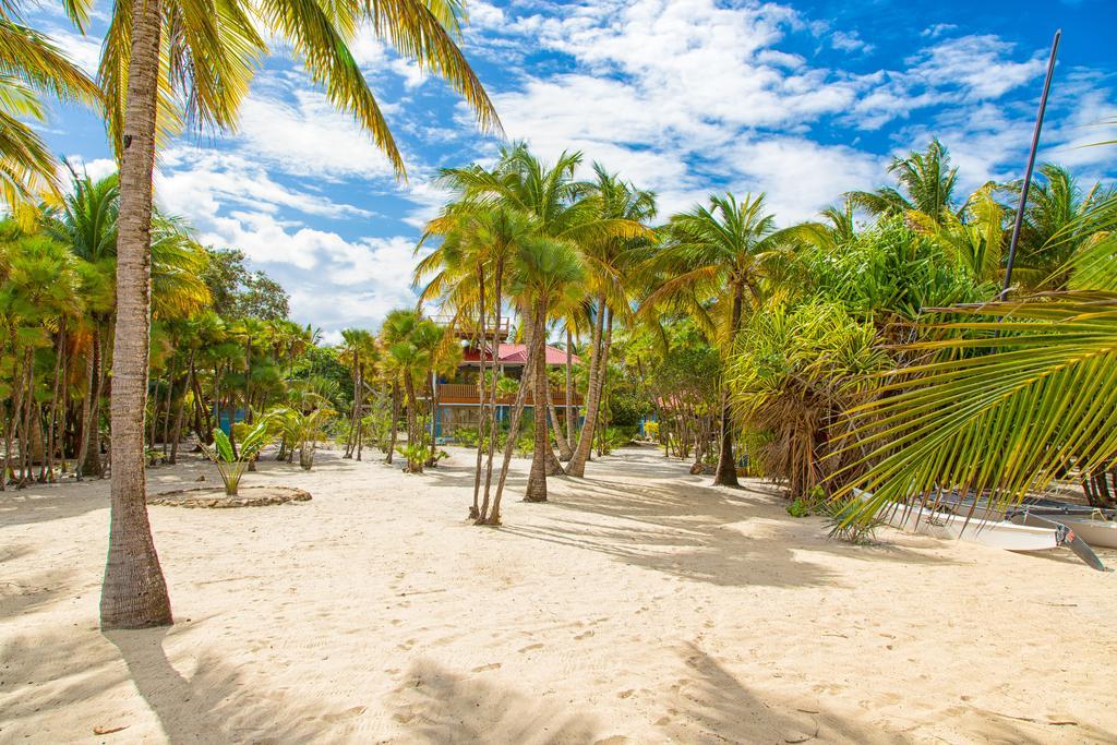 Hotel Wild Orchid