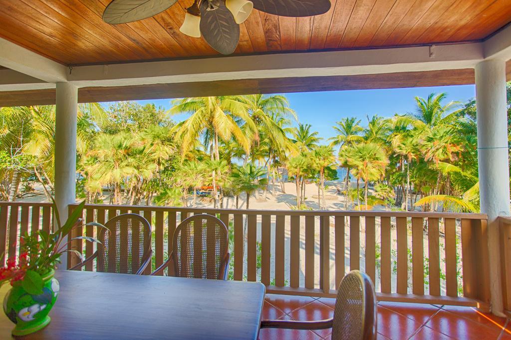 Wild Orchid * Placencia