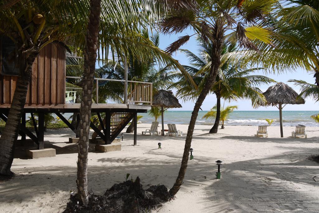 Green Parrot Beach Houses And Lodge