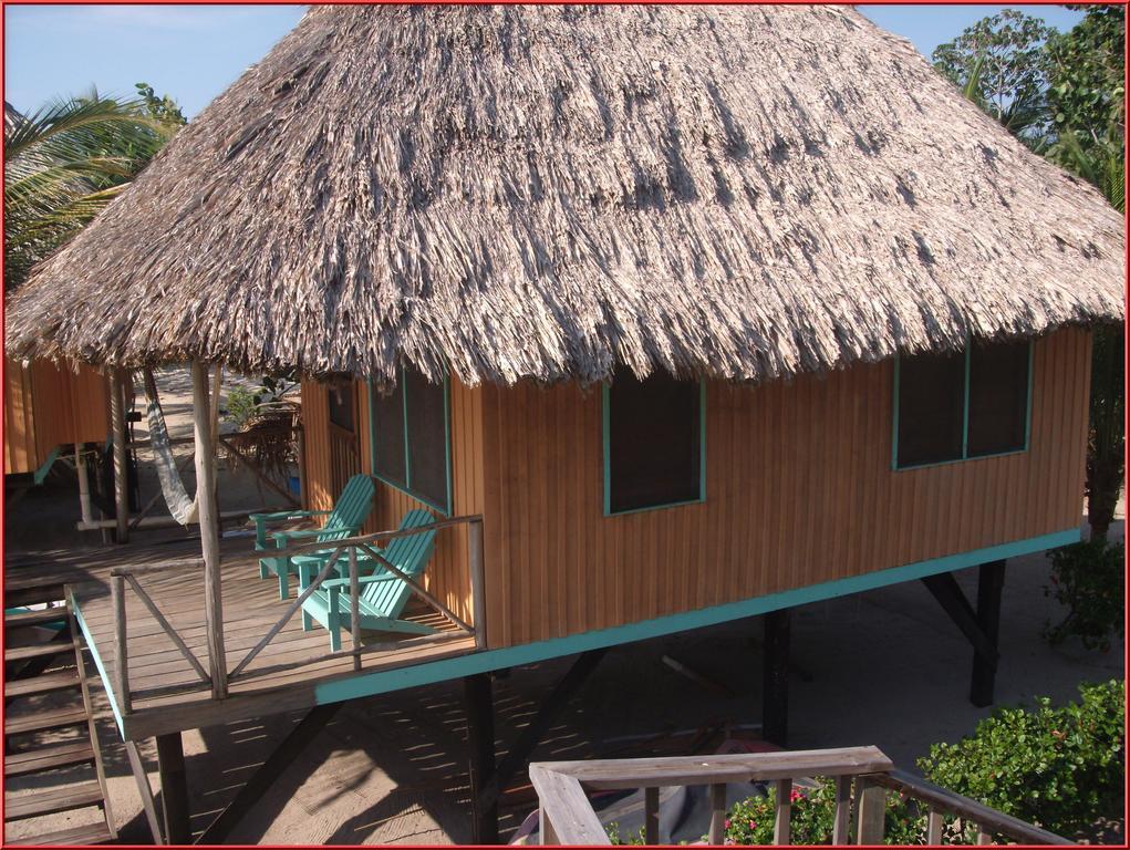 Green Parrot Beach Houses And *