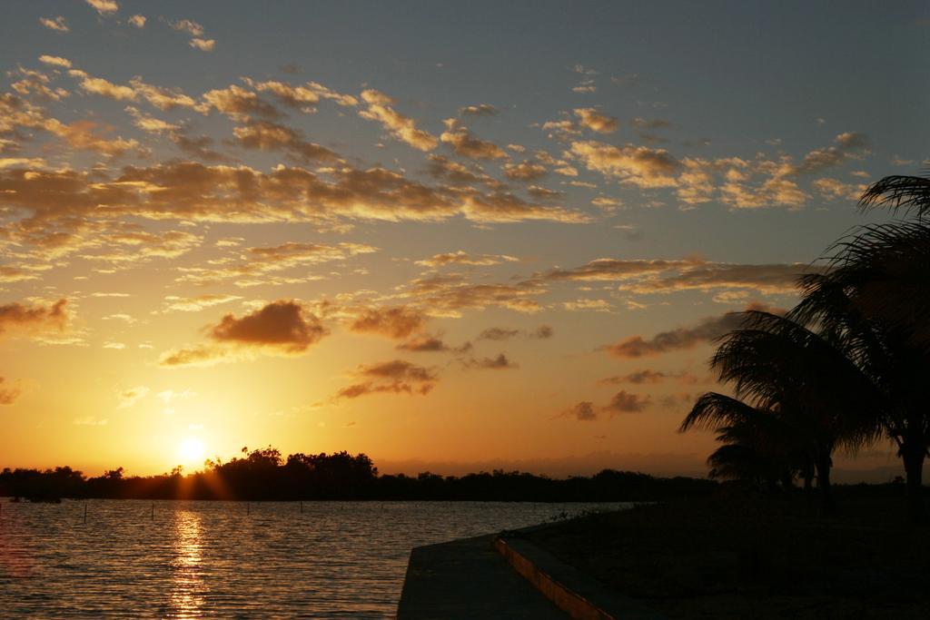 Hotel Wild Orchid Placencia