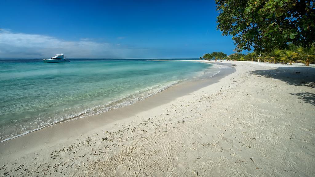Wild Orchid Placencia
