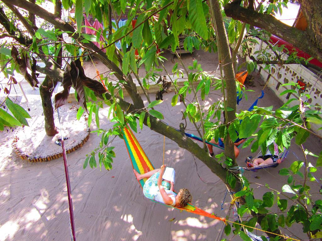 The Funky Dodo Backpackers * Hopkins
