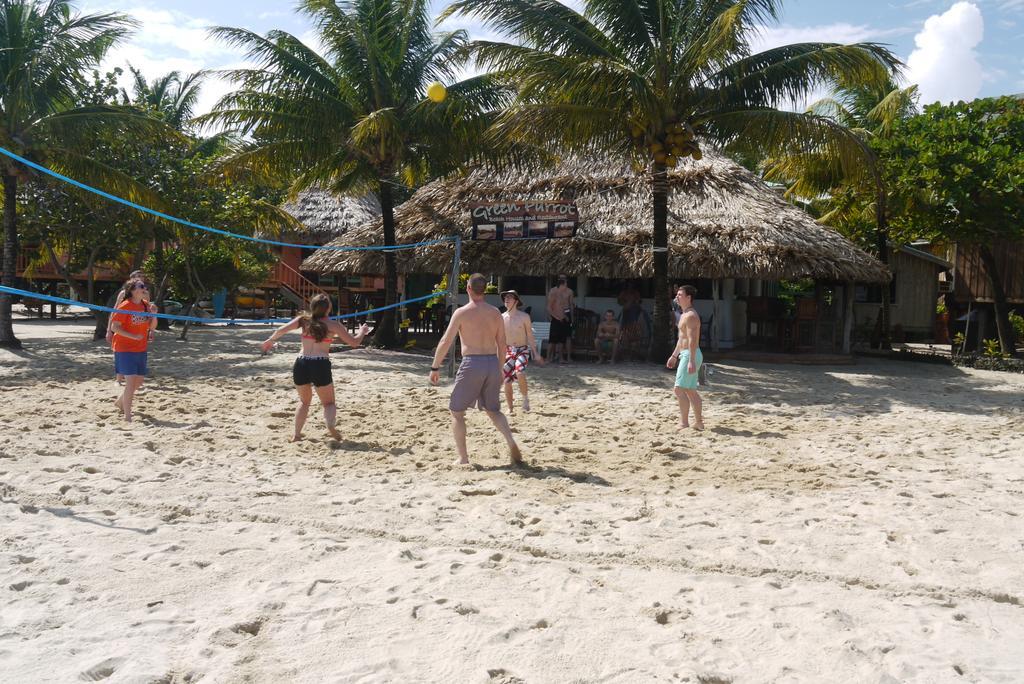 Green Parrot Beach Houses And * Placencia