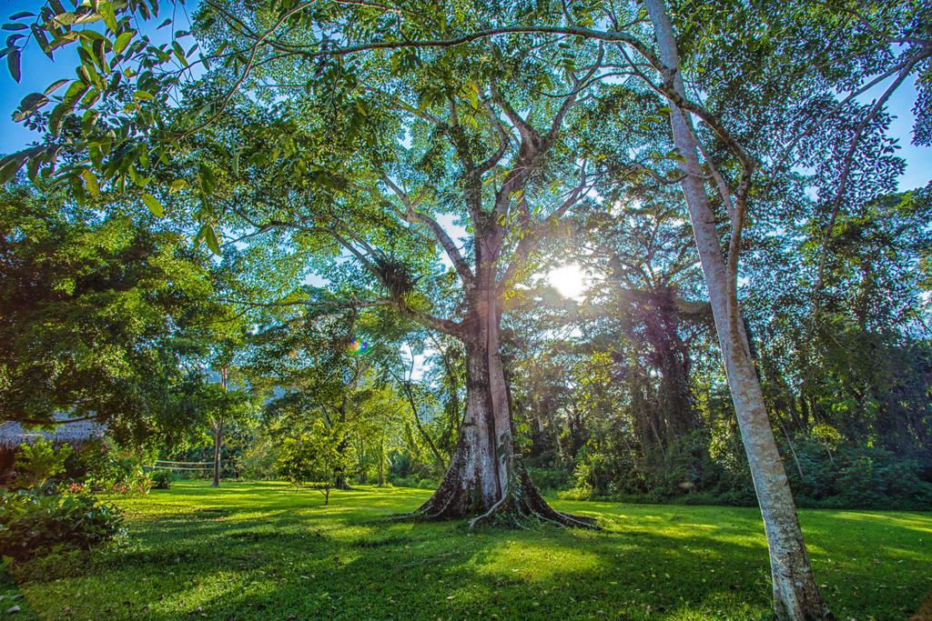 Bocawina Rainforest Resort Hopkins