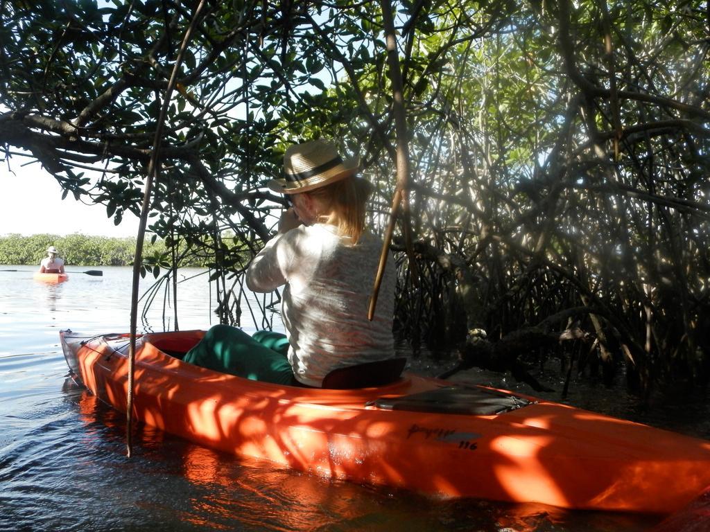 Palmento Grove Garifuna Eco-cultural & Healing Institute Bed & Breakfast