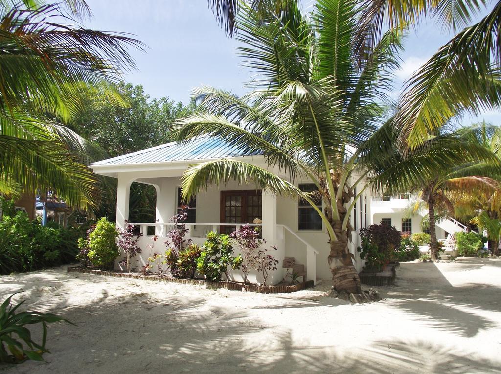 Cocotal And San Pedro (Ambergris Caye)