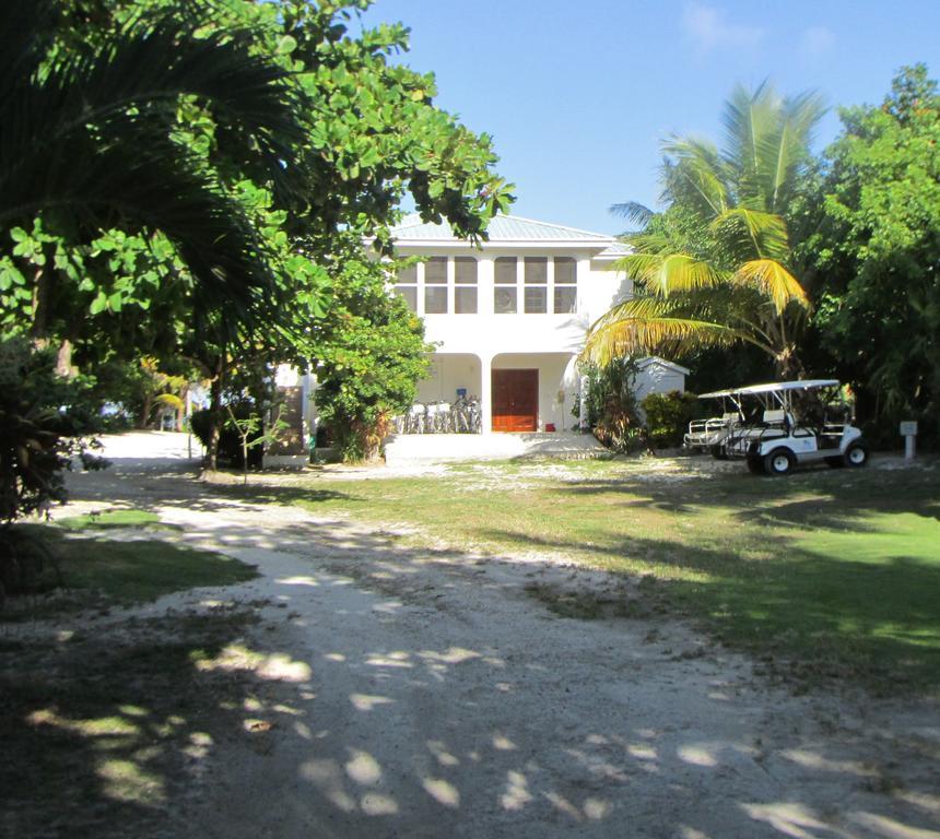 Cocotal And San Pedro (Ambergris Caye)