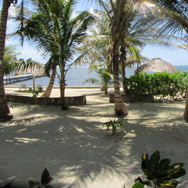 Cocotal And 3* San Pedro (Ambergris Caye)