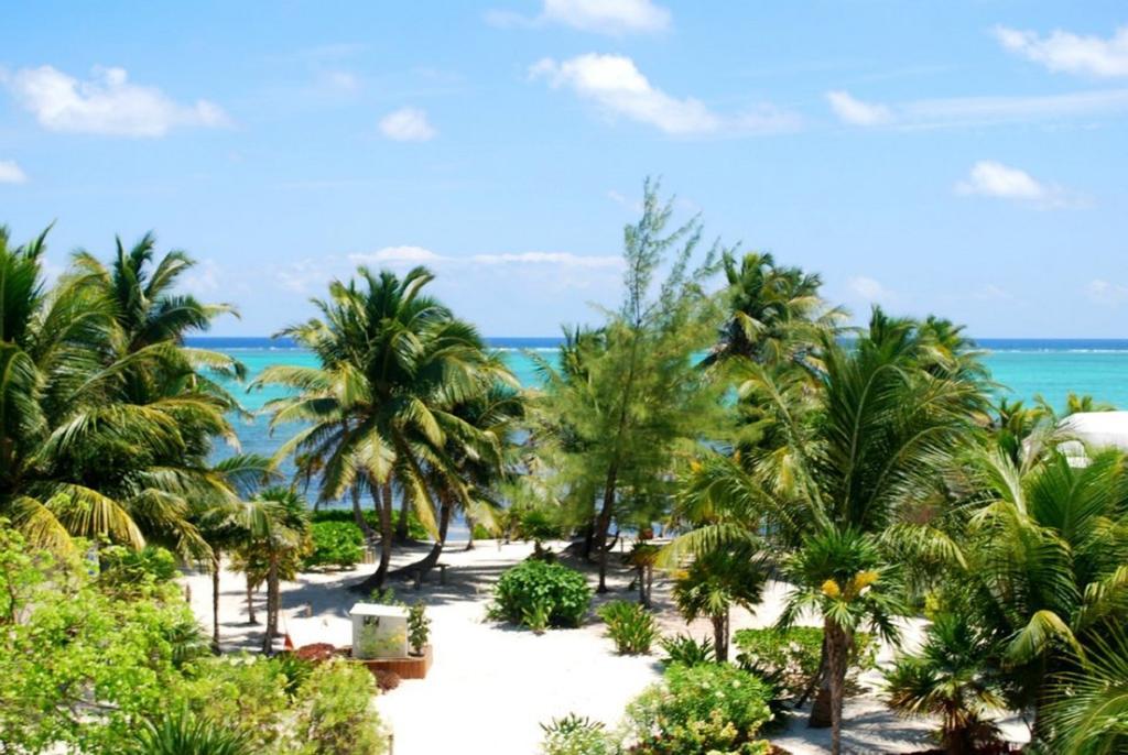 La Perla Del Caribe