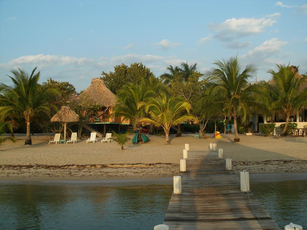 Lodge Green Parrot Beach Houses And