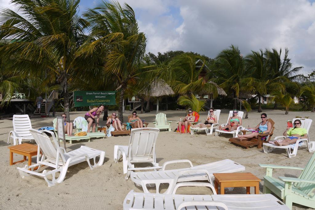 Lodge Green Parrot Beach Houses And