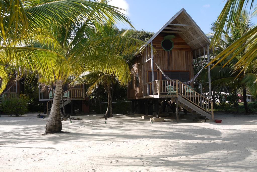 Lodge Green Parrot Beach Houses And Placencia