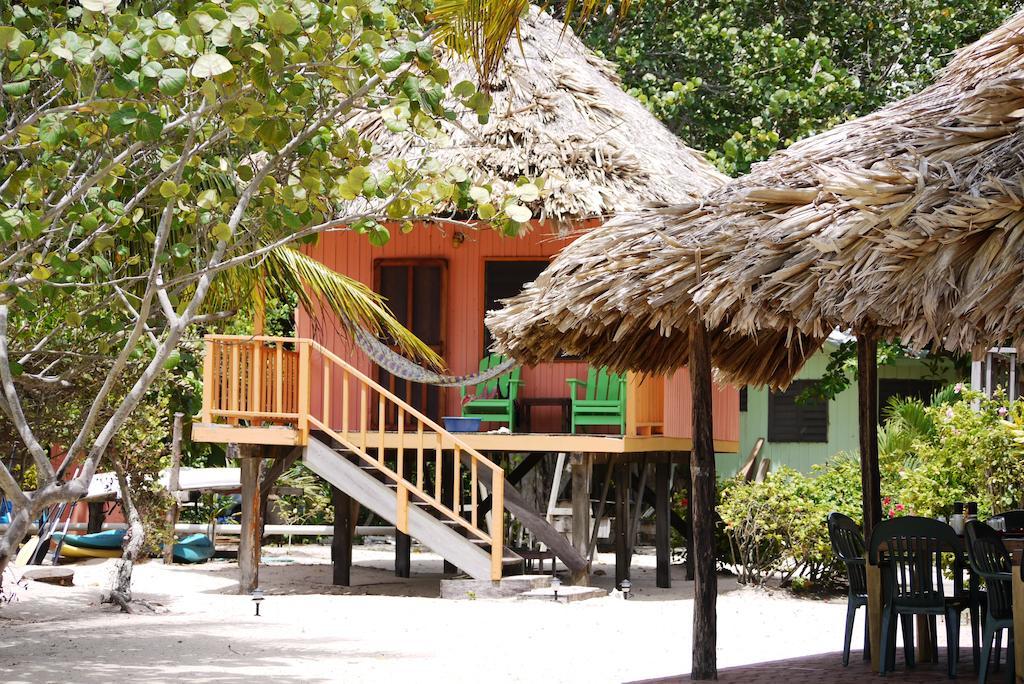 Green Parrot Beach Houses And