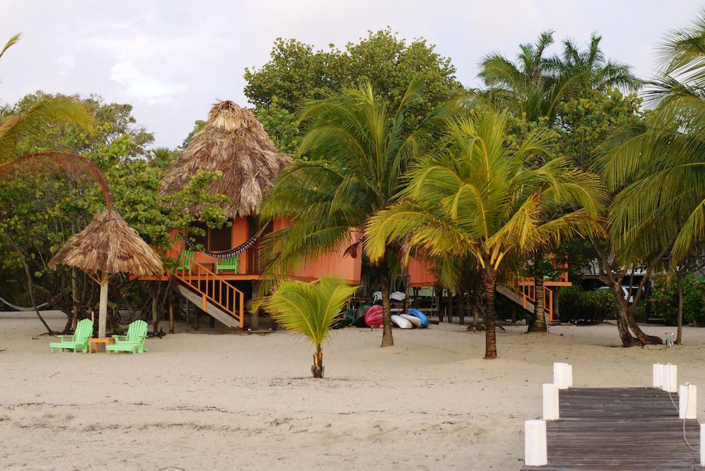 Green Parrot Beach Houses And Placencia