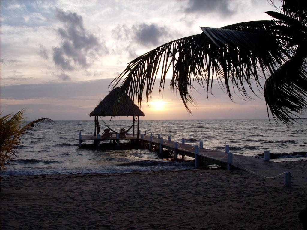 Lodge Green Parrot Beach Houses And Placencia