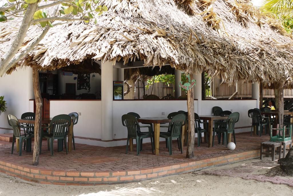 Green Parrot Beach Houses And