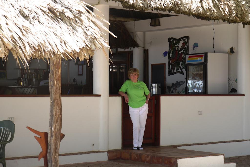 Lodge Green Parrot Beach Houses And