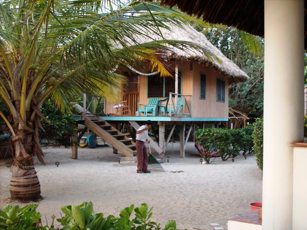 Lodge Green Parrot Beach Houses And *