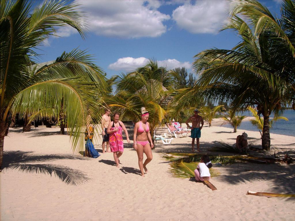 Green Parrot Beach Houses And Placencia