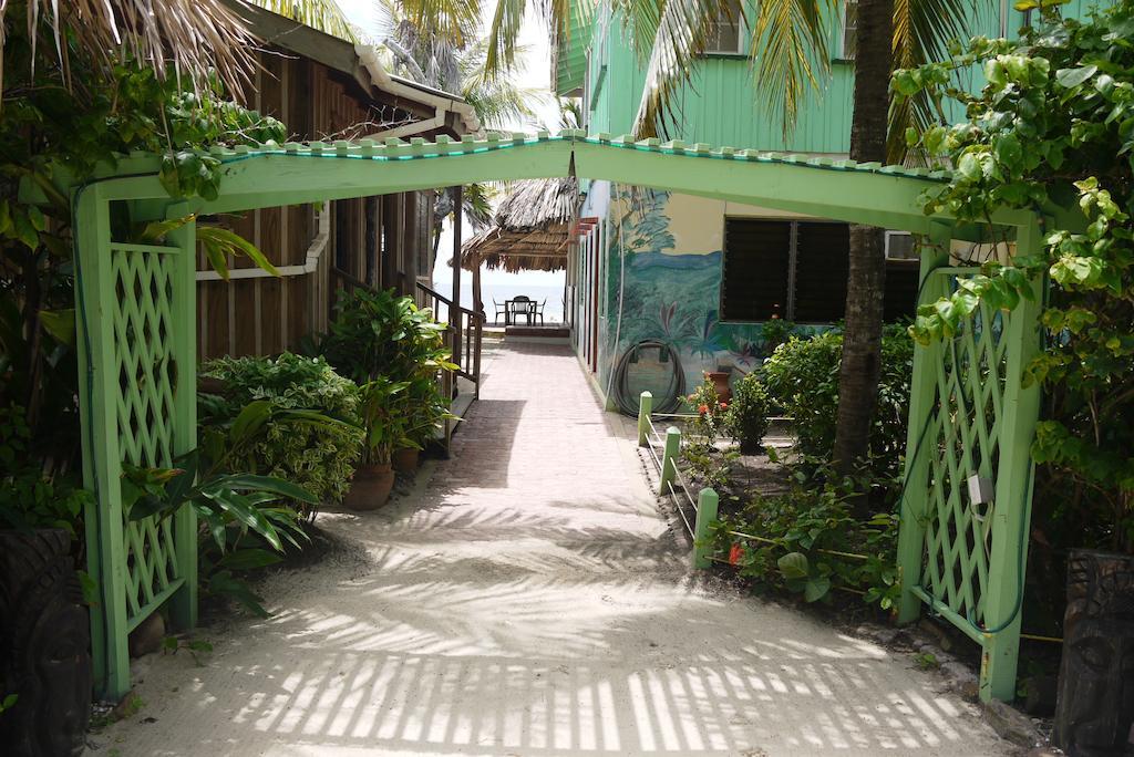 Lodge Green Parrot Beach Houses And Placencia