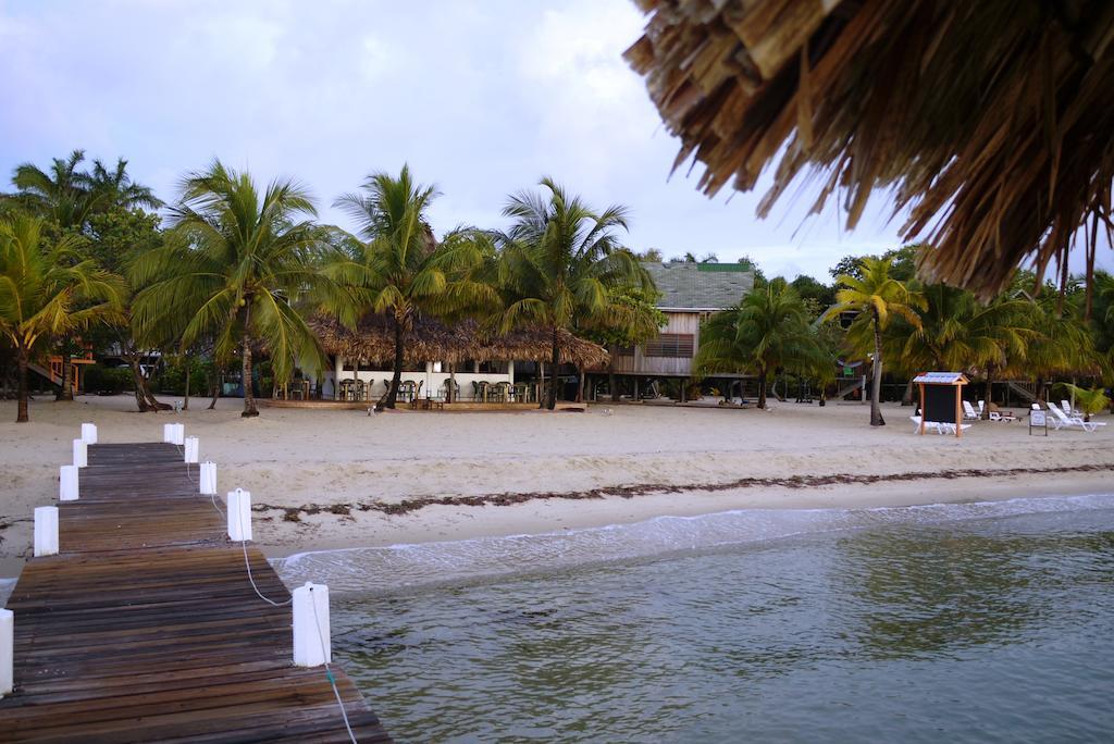 Green Parrot Beach Houses And Placencia