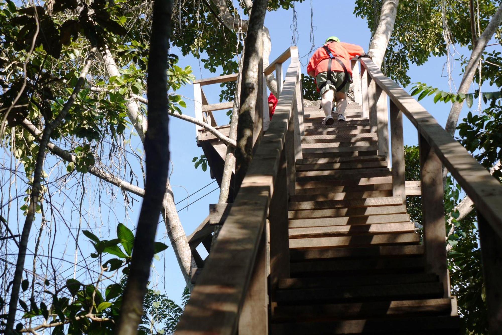 Green Parrot Beach Houses And