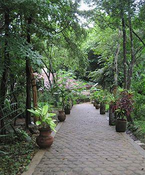 Resort Mystic River San Ignacio