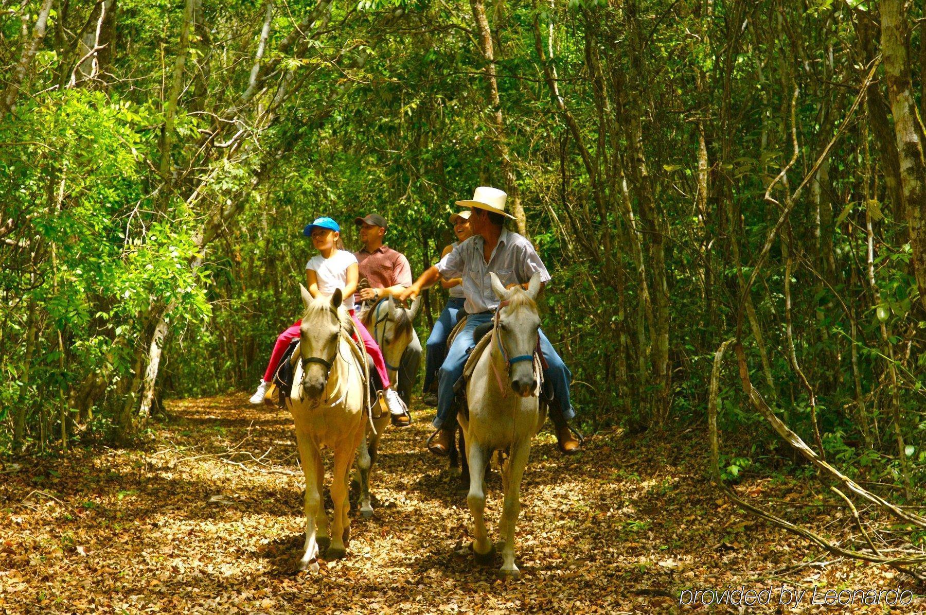 Windy Hill 3* San Ignacio