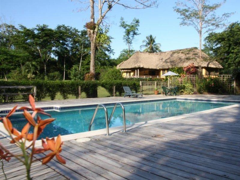 Tanager Rainforest 3*