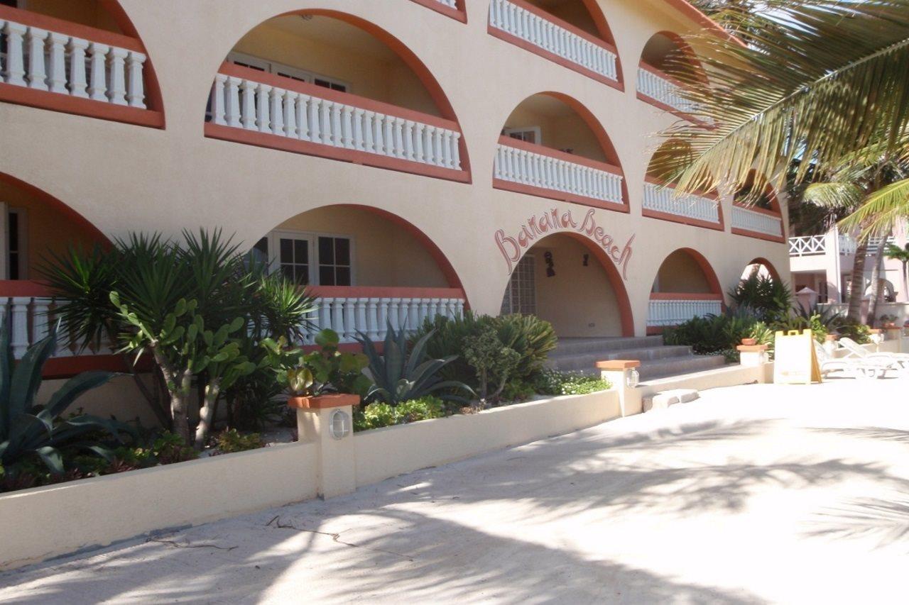 Banana San Pedro (Ambergris Caye)