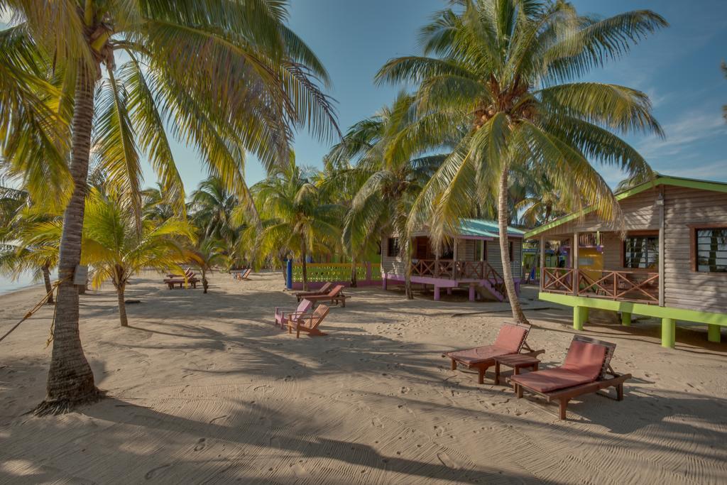 Palm Cove Cabins At Coconut Row Holiday park