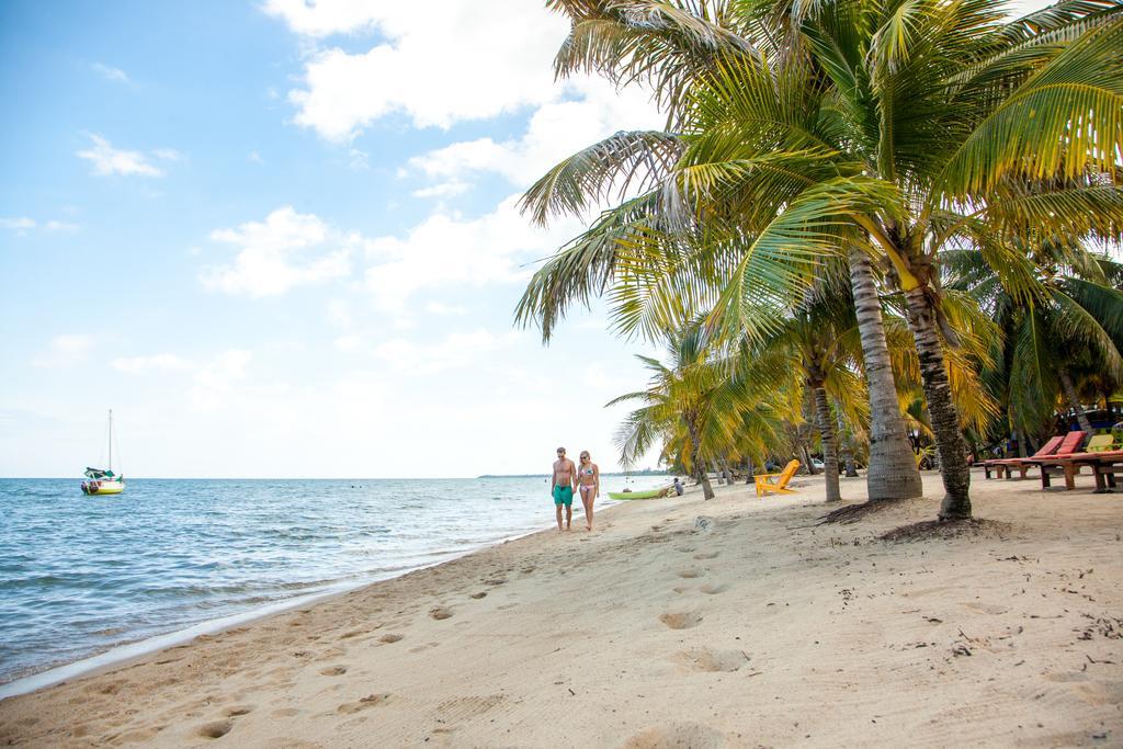 Holiday park Palm Cove Cabins At Coconut Row Hopkins