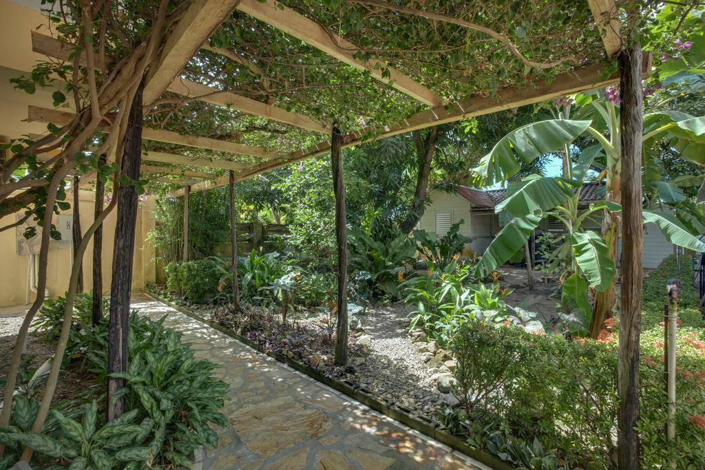 Buttonwood Belize 3*