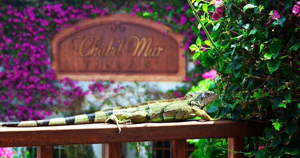 Chabil Mar - Guest Exclusive Boutique