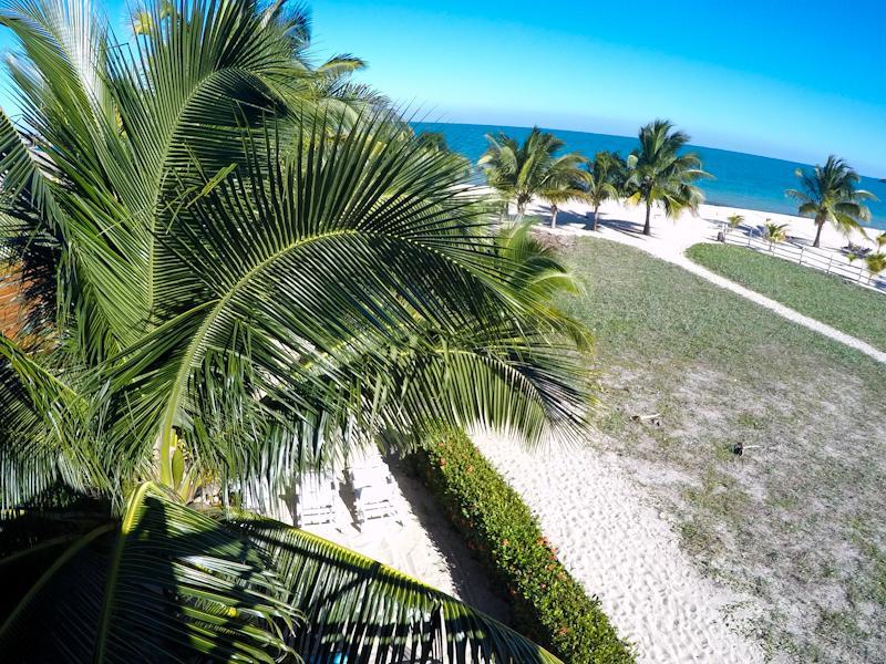 Colibri House Apartment Placencia