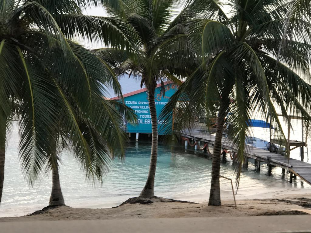 The Palapa House Hotel